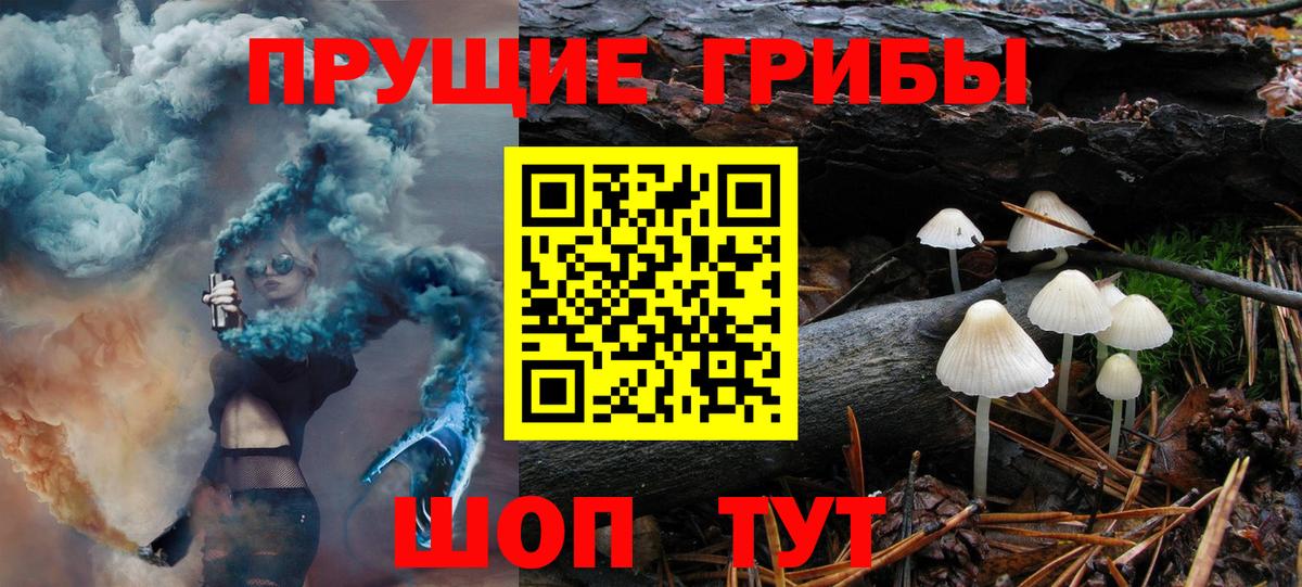 Псилоцибиновые грибы Cubensis  Галлюциногенные грибы GOLDEN TEACHER  Вход с VPN  Ирбит 
